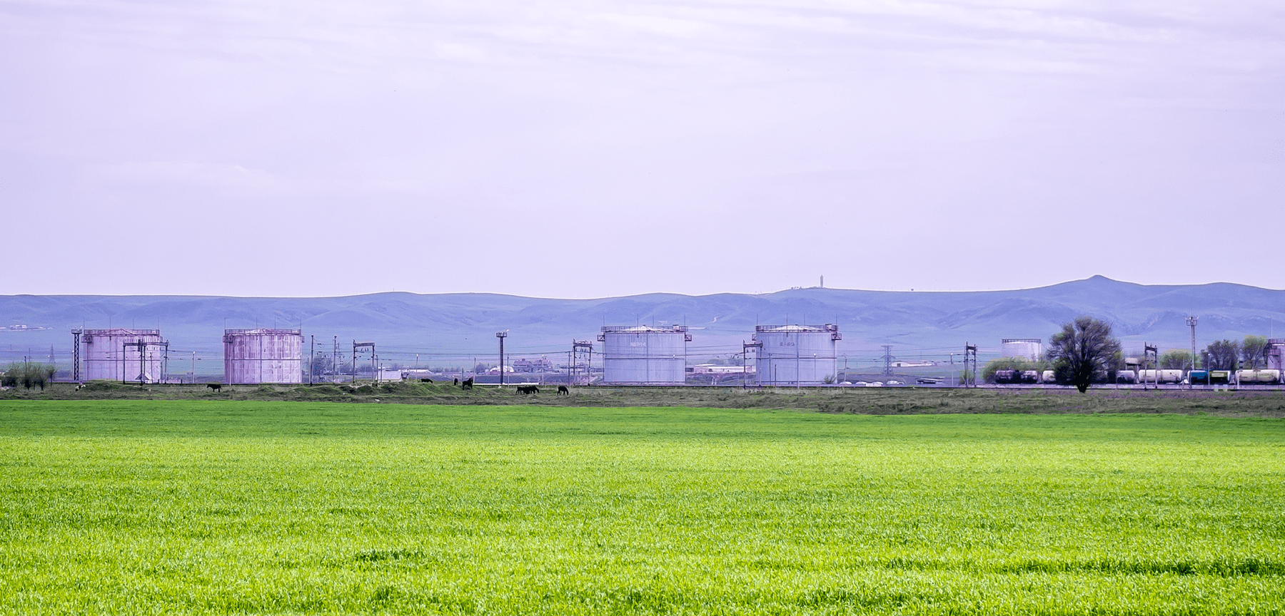Sinopec And Venture Global’s LNG SPAs